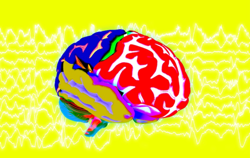 Gehirn rechenleisung